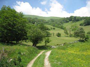 Prati verso la cascina Calolza