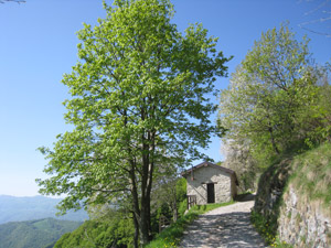 Lungo la stradina verso il rifugio