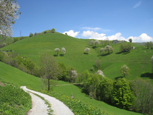 Prati a primavera verso il rifugio