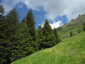 Alpe Lavez