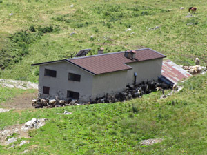Alpe Foppabona