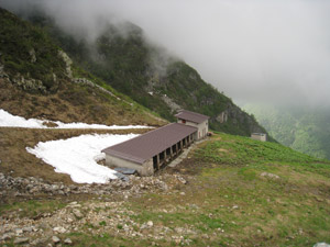 Pensana verso il Passo del Camisolo