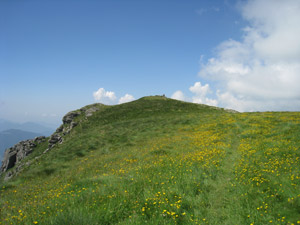 Prati sul M. Colombine
