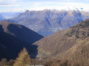 Panorama