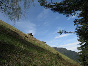 Ripidi prati - Alpe Barghetto (sent. 126)