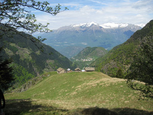 Alpe Barghetto (sent. 126)