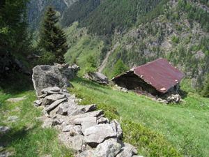 Stalla/fienile (sent. 16)
