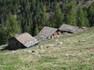 Agriturismo Alpe Torrenzuolo