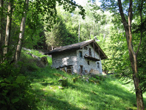 Casa nel bosco prima di arrivare a Pratella