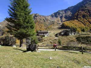Area pic-nic Teat