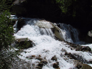 Il Torrente Rezzalasco