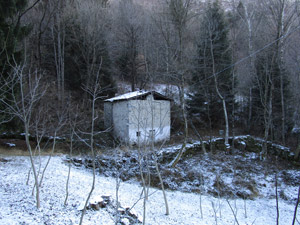 Una vecchia stalla nel bosco
