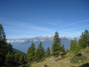 Panorama verso nord