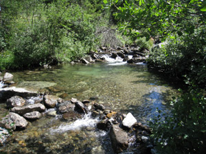 Il Torrente Poia