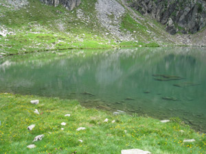 Lago di Bos