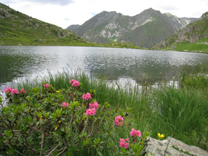 Lago di Bos