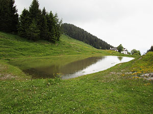 La pozza tra i Rifugi Blach 2 e Larice Tonassi