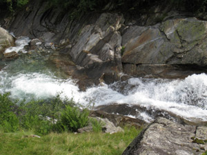 Il torrente nei pressi dellˈAlpe Valle di Sotto