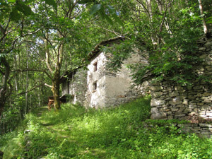 Altre vecchie baite nel bosco