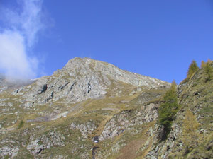 Il Monte Masoni