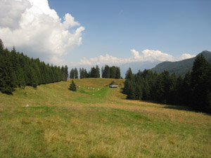 Dintorni della Malga Corvino