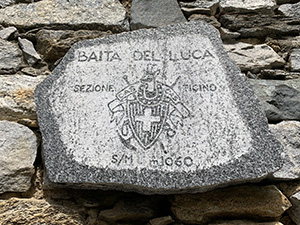 Insegna