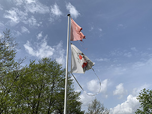 Bandiere