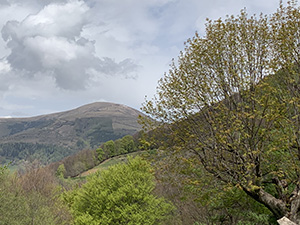 Il Monte Bar