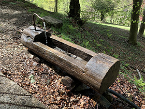 Fontana con vasca scavata in un tronco