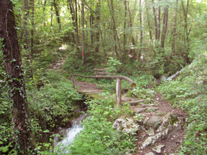 Ponticello sul Torrente Cif (sentiero 28)