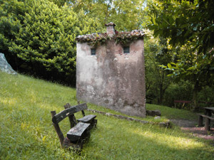 Baitello in una radura (sentiero 28)