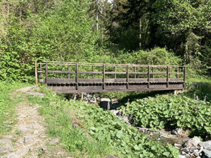 Il ponte di legno che consente ...