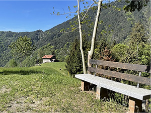 Panchina