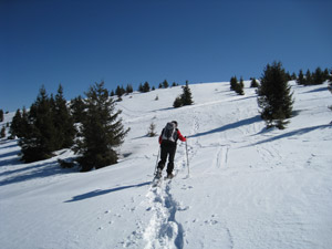 Salendo al Monte Alto