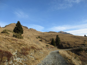 La sterrata da Monte Farno