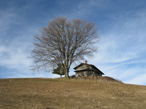 Localit Monticelli (2 itin.)