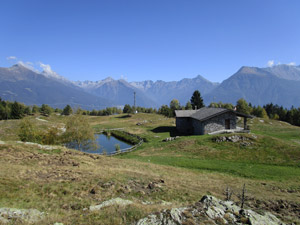 Malga, laghetto e panorama