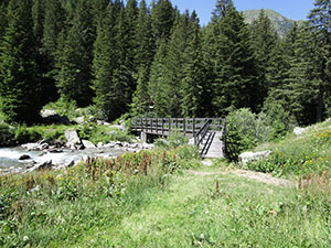 Ponte sul Torrente Caronno