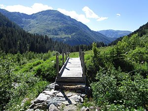 Un ponticello di legno