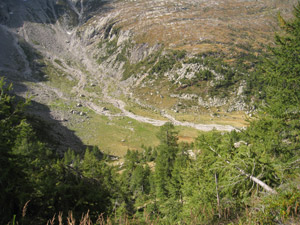 Alpe Campo vista salendo alla Bocchetta di Campo