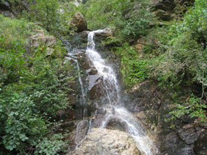 Cascata nel bosco