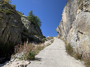 Nella gola alla destra del torrente