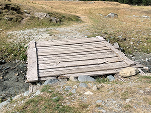 Passerella sul Torrente Entrelor