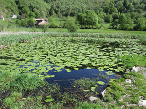 Piccolo laghetto ai Monti di Erno