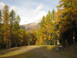 Autunno