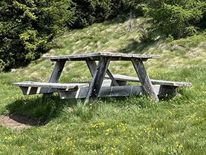 Tavolo con panche in un prato