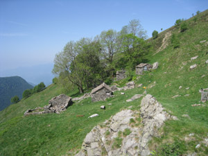 Alpe Corte