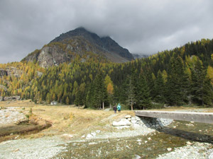 Ponticello Alpe Campascio