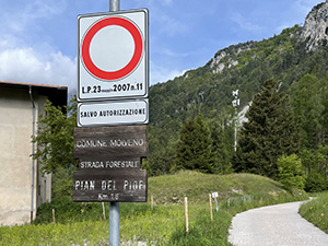 Lasciamo Via Belvedere e proseguiamo sulla strada forestale