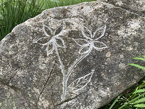 Stelle alpine scolpite nella roccia